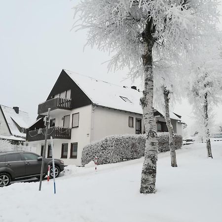 Apartament Haus Schneider Winterberg Zewnętrze zdjęcie