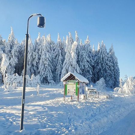 Apartament Haus Schneider Winterberg Zewnętrze zdjęcie