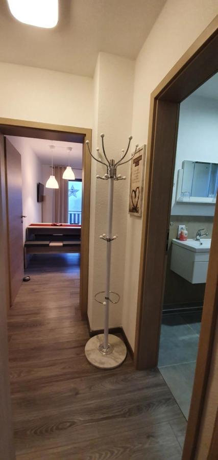 Apartament Haus Schneider Winterberg Zewnętrze zdjęcie