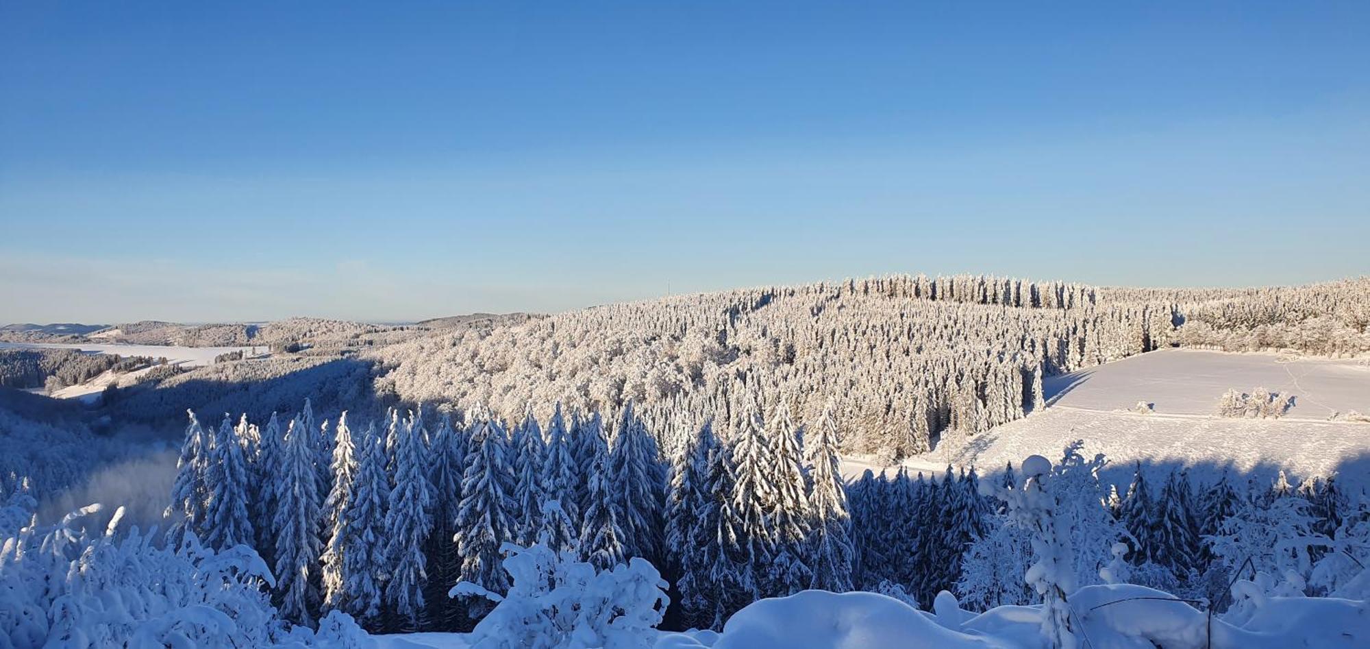 Apartament Haus Schneider Winterberg Zewnętrze zdjęcie