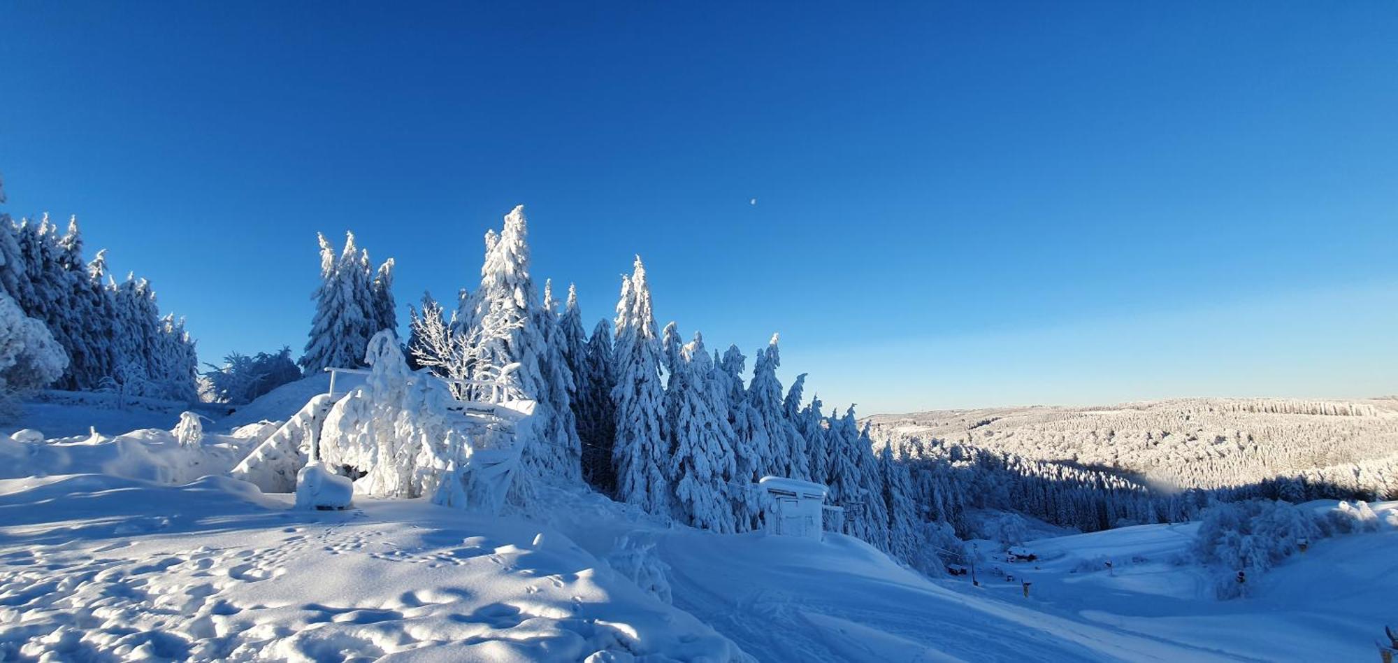 Apartament Haus Schneider Winterberg Zewnętrze zdjęcie